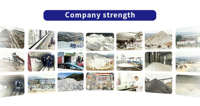 Guangdong XiMi New Material Technology Co., Ltd Wisata pabrik